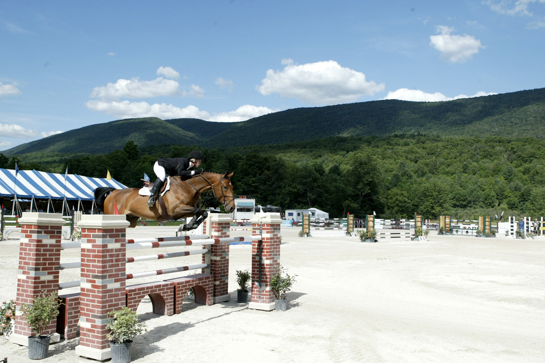 Six Weeks of Show Jumping Opens at Vermont Summer Festival Horse Show